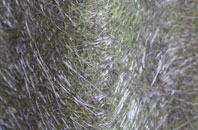 Underton fibreglass roof work